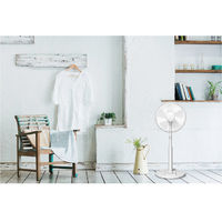 エスケイジャパン リビング扇風機　メカ式　羽根径30cm　5枚羽根 SKJ-K311M(W) 1台（直送品）