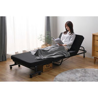 アイリスオーヤマ 折りたたみベッド OTBSS-TR 1台