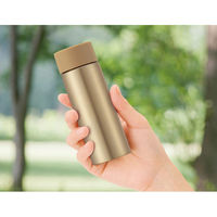 内海産業 真空ステンレス ポケットボトル(シャンパンゴールド)●セット:10個入 4527231058649 1セット(10個入)（直送品）