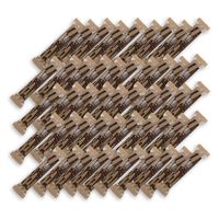 ラグノオささき 【50個セット】ポロショコラスティック　キャラメルコーヒー 10419317-50（直送品）