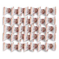 アデリー 【35個セット】フレンチカップケーキ　キウイ 4542511351012-35（直送品）