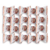 アデリー 【20個セット】フレンチカップケーキ　キウイ 4542511351012-20（直送品）