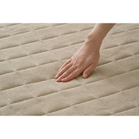 アイリスオーヤマ ラグ カーペット 洗える 185×240cm 3畳 ホットカーペット対応 ラグマット タオルタッチラグ ORG-T1824 ベージュ（直送品）