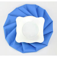 東京企画販売 アイスバッグ(小)400cc 099684 1個