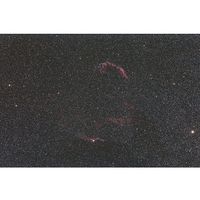 ビクセン フラットナーHDキットfor FL55SS 37252 1セット 63-5500-93（直送品）