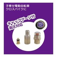 パナレーサー ACAー2ーGーHP 高圧対応エアチェックアダプターゲージ付(2個セット) 1セット(8個:2個×4セット)（直送品）