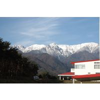 内堀醸造 やわらか酸味の穀物酢 1800ml（1.8L） 1個 お酢 食酢 業務用 大容量 プロ仕様 特大