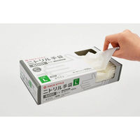 パックスタイル  ニトリル手袋6001粉無 L 白 00734319 3000枚(100枚×30)（直送品）