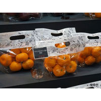 パックスタイル 青果用袋 PS チャック付スタンド袋S MS白 CH2621 527942 1袋(50個)（直送品）