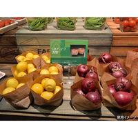 パックスタイル 青果用袋 SH舟底バッグ浅 無地 取手無 534560 1袋(100個)（直送品）