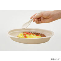 パックスタイル エコカトラリー BBカトラリー スポーク(先割れスプーン) 単袋入 150mm 663604 1袋(100個)（直送品）