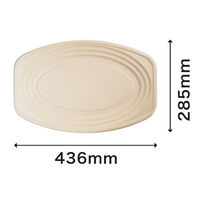 パックスタイル バガス容器 BBオードブル 小判2 ラミ 654442 1袋(10個)（直送品）