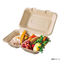 パックスタイル バガス容器 BBランチ 240-150-2(5枚入) 00678164 1袋(1個)（直送品）