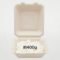 パックスタイル バガス容器 BBランチ 200-220(5枚入) 00678163 1袋(1個)（直送品）