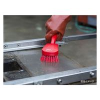 ヴァイカン ブラシ ロングハンドルブラシ(ハード)レッド 41864 1個（直送品）