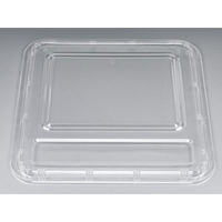 シーピー化成 仕出弁当 Z-90-A舟 DXセット 0100090510100 1袋(20個)（直送品）