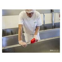 ヴァイカン ブラシ ハンドブラシ(ハード) レッド 38904 1個（直送品）