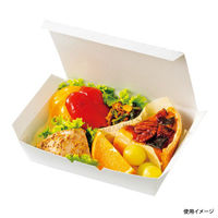 ケーピープラテック 弁当容器 ランチボックス KM-16 54908 1袋(50個)（直送品）