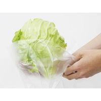 パックスタイル ポリ袋 PSロールポリ袋 キャベツGZ袋 440640 1袋(1個)（直送品）