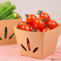 パックスタイル 青果・農産容器 テーパーボックス 11-11 未晒 00588642 1袋(25個)（直送品）