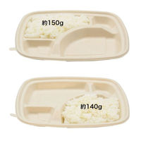 パックスタイル バガス容器 BB弁当 N24-20A ラミ(5枚入) 00678175 1袋(1個)（直送品）