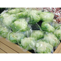 パックスタイル 青果用袋 PSスタンドパック320×180 00443700 1袋(100個)（直送品）