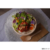 パックスタイル バガス容器 BBどんぶり 205φ×60H ラミ 653143 1袋(50個)（直送品）