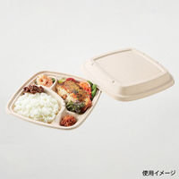 パックスタイル バガス容器 BB弁当 N23-23A ラミ(5枚入) 00678173 1袋(1個)（直送品）