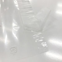 ベルグリーンワイズ フィルムシート FG25#170×225イチゴシート 片面テープ付き 51480 1袋(1000枚)（直送品）