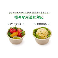 パックスタイル バガス容器 WBカップ 62-40 ラミ LN-C 1袋(50個)