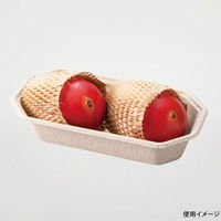 パックスタイル バガス容器 WBフルーツ 2M 615415 1袋(50個)（直送品）