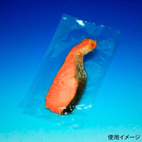 中本アドバンストフィルム 真空袋 SBN規格袋 SB3245 1袋(100個)（直送品）