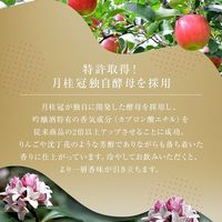 月桂冠 大吟醸 300ml 1本 日本酒