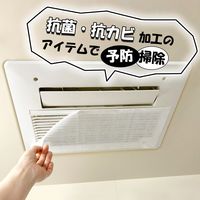 フィルたん パッと貼るだけ ホコリとりフィルター 浴室乾燥機用 2枚入 1個 東洋アルミエコープロダクツ