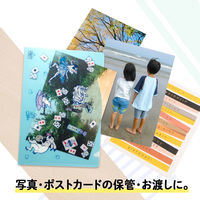プラス ぴったりすっきりホルダー 洋形2号 限定 鳥獣戯画 3枚セット ファイル 88210