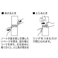 リヒトラブ Pastello（パステロ） ツイストノート（リングノート） メモサイズ 5mm方眼 ルージュ N1961-2 2冊