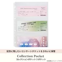 myfa（ミファ）コレクションポケット 3ポケット A4 30穴 チケット・領収書用 10枚入 1セット（2袋）リヒトラブ