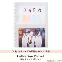 myfa（ミファ）コレクションポケット 2ポケット A4 30穴 2L判写真・A5判用 10枚入 1セット（2袋）リヒトラブ