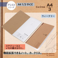 プラス ノート カ.クリエ A4×1/3 アシスト スケジュール罫 ウィークリー 77834 2冊