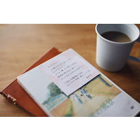 キングジム 便箋ふせん（Mサイズ） フラワー 花 1冊20枚入り 3060-003