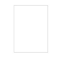 けしやすい学習帳 じゆうちょう セミB5 白無地 NB51-JL 2冊 ナカバヤシ