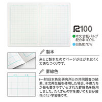 学習帳 こくご セミB5 ムーミン 10マス リーダー LU310R 2冊 日本ノート