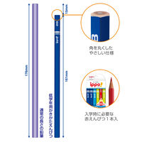 かきかたえんぴつ　低学年用　ippo（イッポ）　2B　三角軸　ブルー系　MP-SEPM04-2B　1個（2B鉛筆×10本、赤鉛筆×2本）　トンボ鉛筆