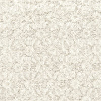 東京メディカル 汚トイレ美化マット(おトイレピカマット) KG-485 1袋(15枚入)