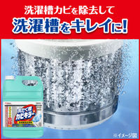 カビキラー 洗濯槽クリーナー 洗濯槽カビキラー 液体タイプ 業務用 5kg(計量カップ付き) 1ケース(3個入) ドラム式可 洗濯機 除菌 ジョンソン