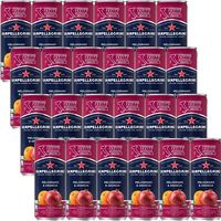 サンペレグリノ メログラーノアランチャ（ザクロ&オレンジ） 330ml 1箱（24缶入）