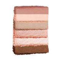 CLIO（クリオ） プロ アイ パレット ミニ #02 ロージーヘイズ DOOWON 韓国コスメ