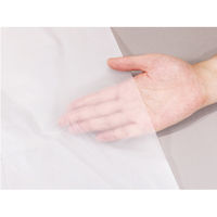 エコノプラスBOX nocoo in ゴミ袋 半透明 45L 1箱（100枚入）日本サニパック