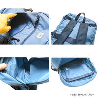 TTC TE パッカブルリュック ライトグレー 569923 1個（直送品）