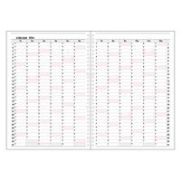 コレクト 日記リーフ　ウィーク　Ａ４　３０穴 C-4457(2024) 2冊（直送品）